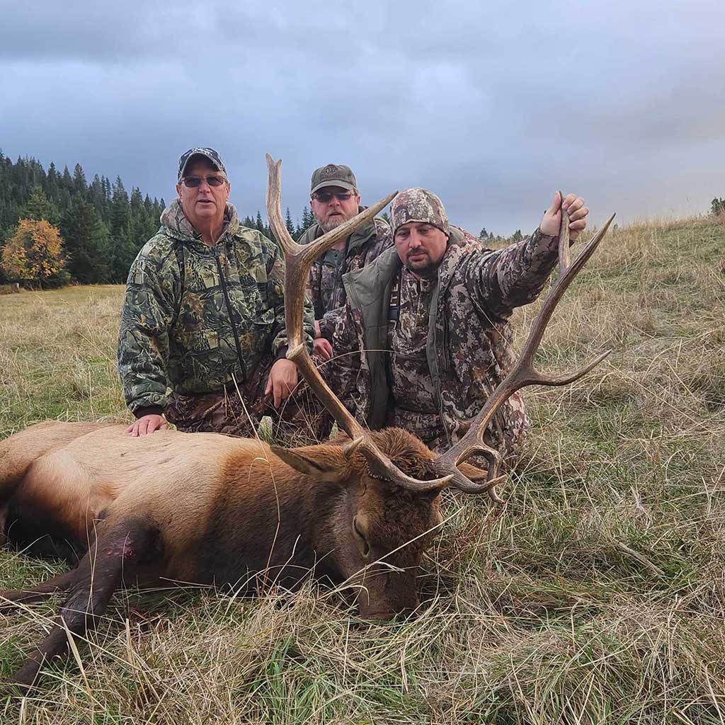 Bull Elk on Private Ranch 2023