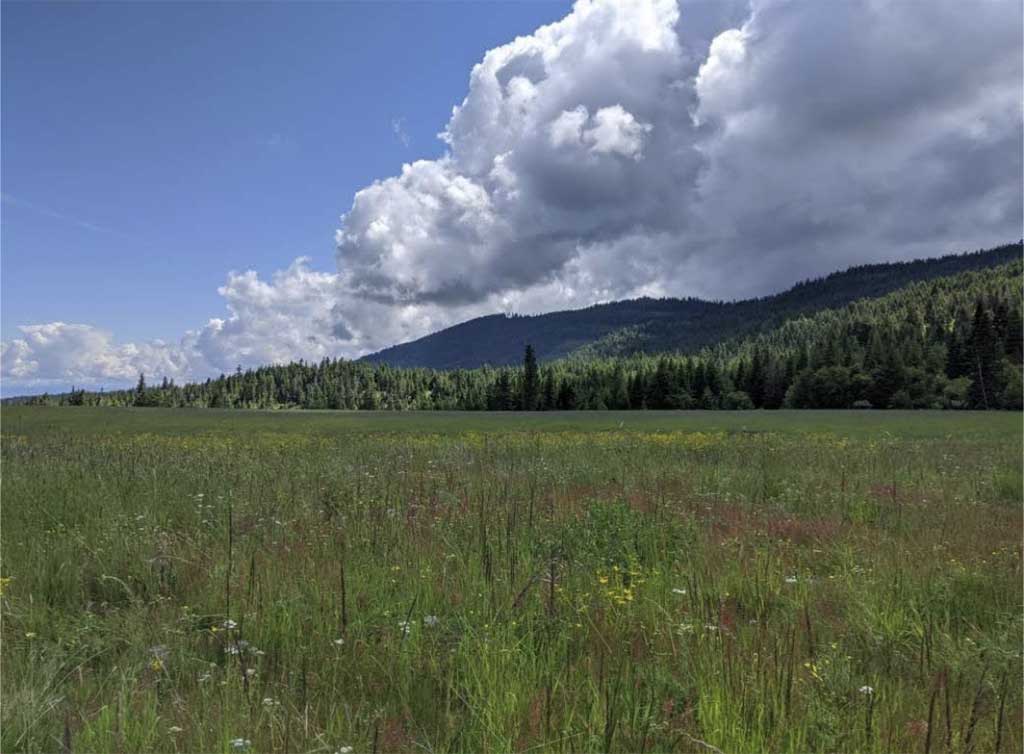 Foothills of the Bitterroot Mountain Range